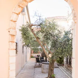 Maslina Seget (Umag)